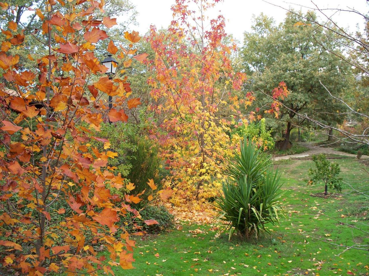 Apartamentos El Roble Valverde de la Vera Dış mekan fotoğraf