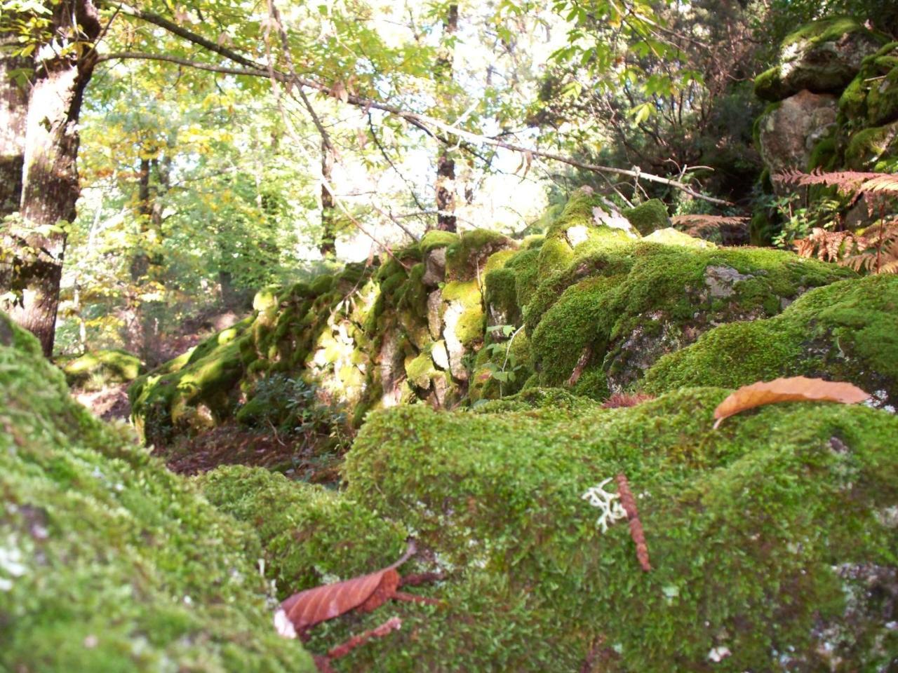 Apartamentos El Roble Valverde de la Vera Dış mekan fotoğraf
