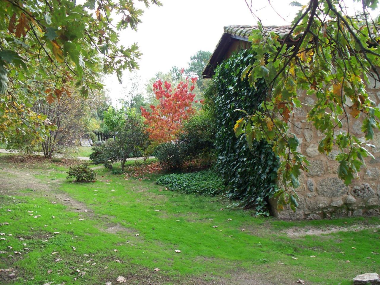 Apartamentos El Roble Valverde de la Vera Dış mekan fotoğraf